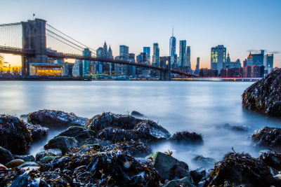 GritzbachMichael NewYorkSkyline Fam 12